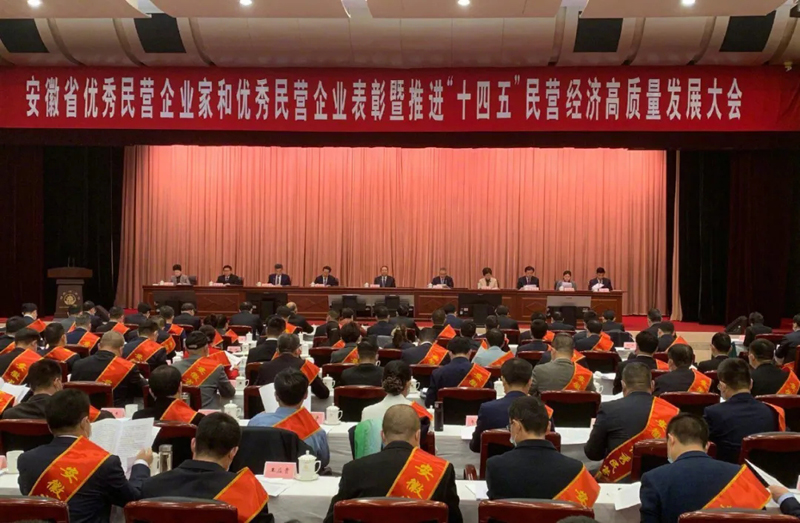 喜讯！AG庄闲官网科技总经理梁燕被授予“安徽省优秀民营企业家”称号